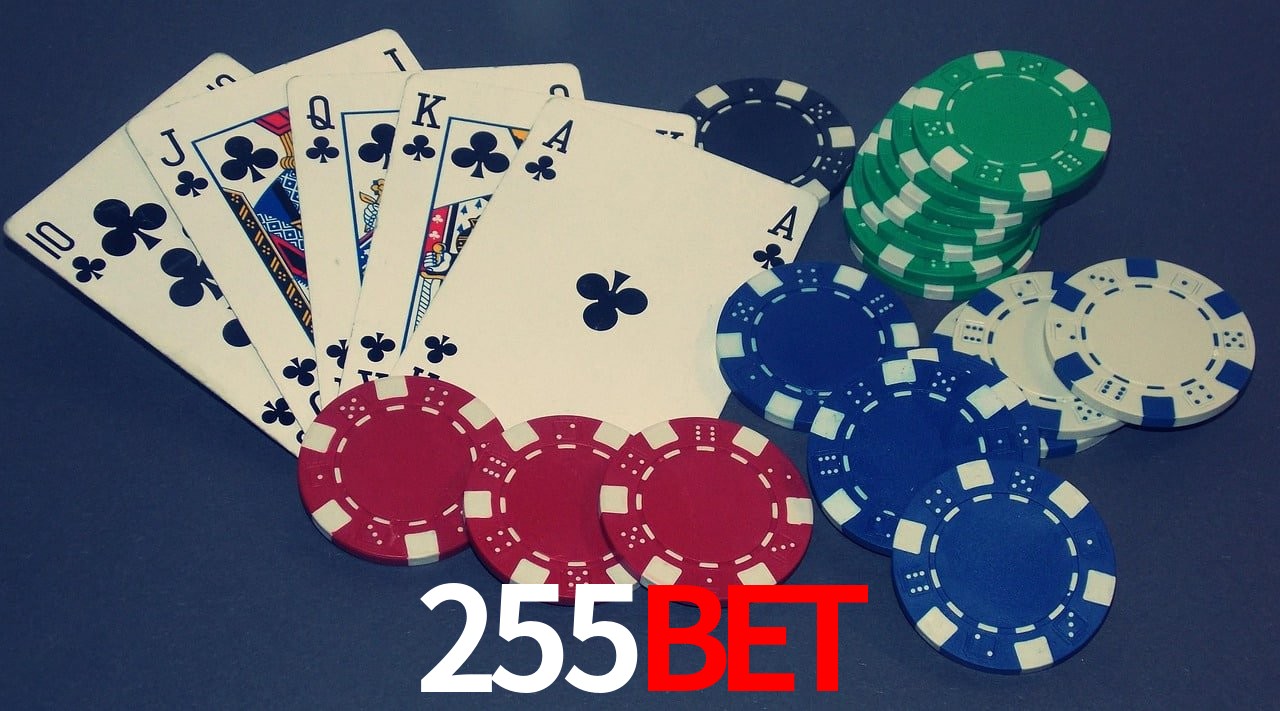 API Integration 255Bet